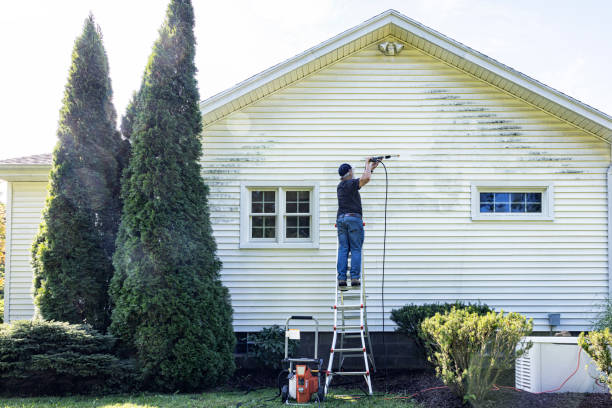 Best Local Pressure Washing Services  in Cedar City, UT